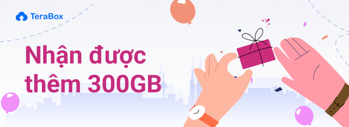 0127 300gb B lang vi