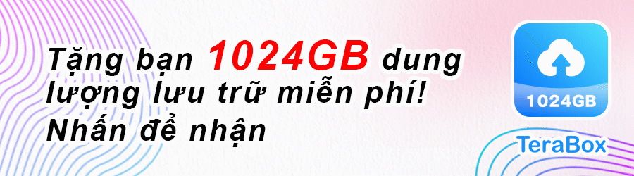 VN 1 2