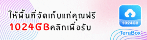 วิธีจัดระเบียบรูปภาพของฉันด้วย TeraBox 47 TH 1 1
