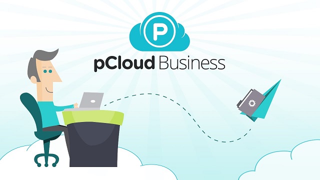06 pcloud business