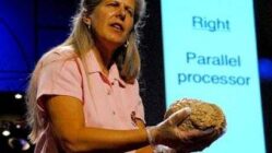 Jill Bolte Taylor: El cerebro y su derrame de iluminación